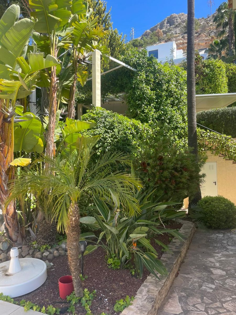 Garden and plot area of 3-bedroom villa in Zona de Mascarat