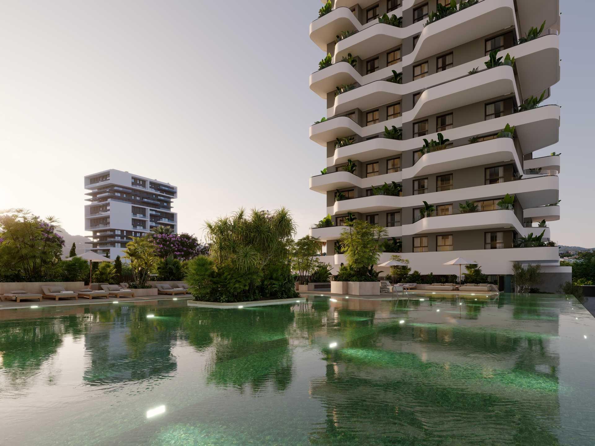 Complex grounds of the apartment in Playa arenal-bol, Calpe (view 50)