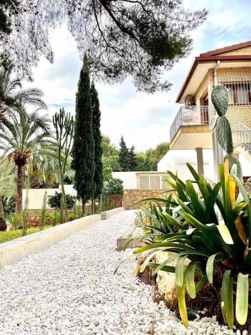 Terrace or outdoor area, Campoamor