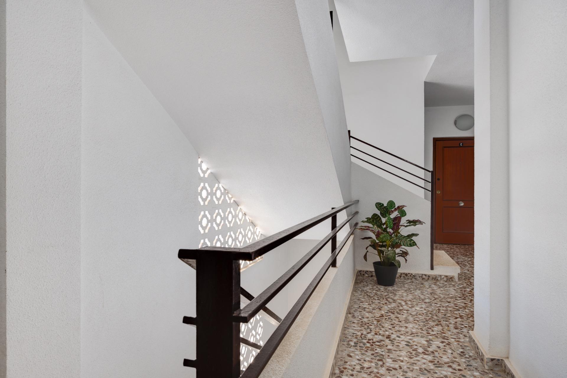Hallway of the apartment in Villananitos, Lo Pagan (view 42)