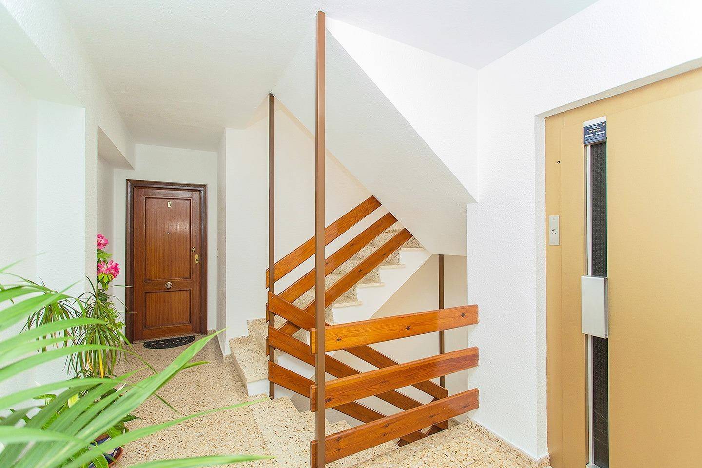 Building detail of the apartment in Playa del cura, Torrevieja (view 41)