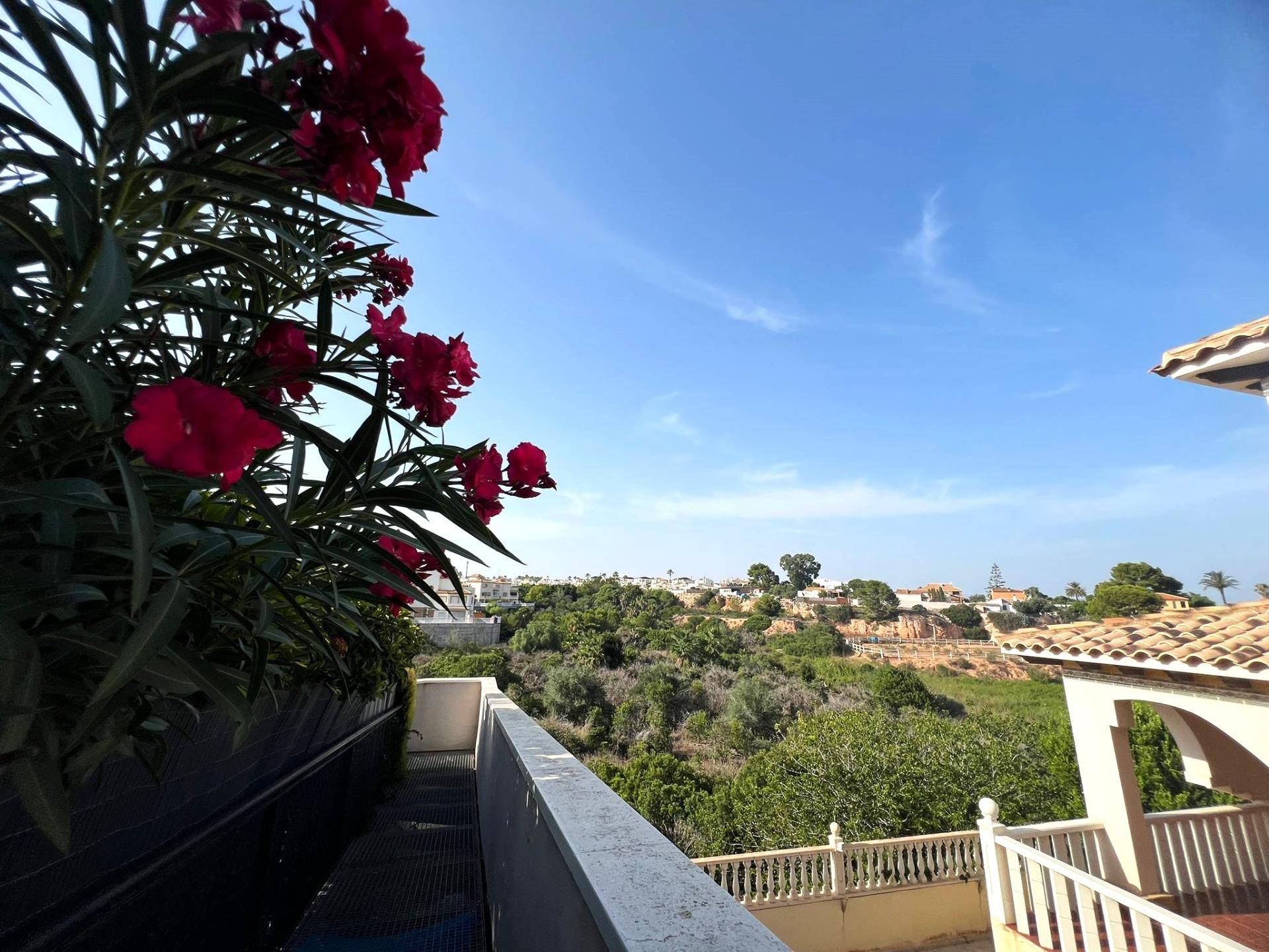 Complex grounds of the apartment in Montezenia, Orihuela Costa