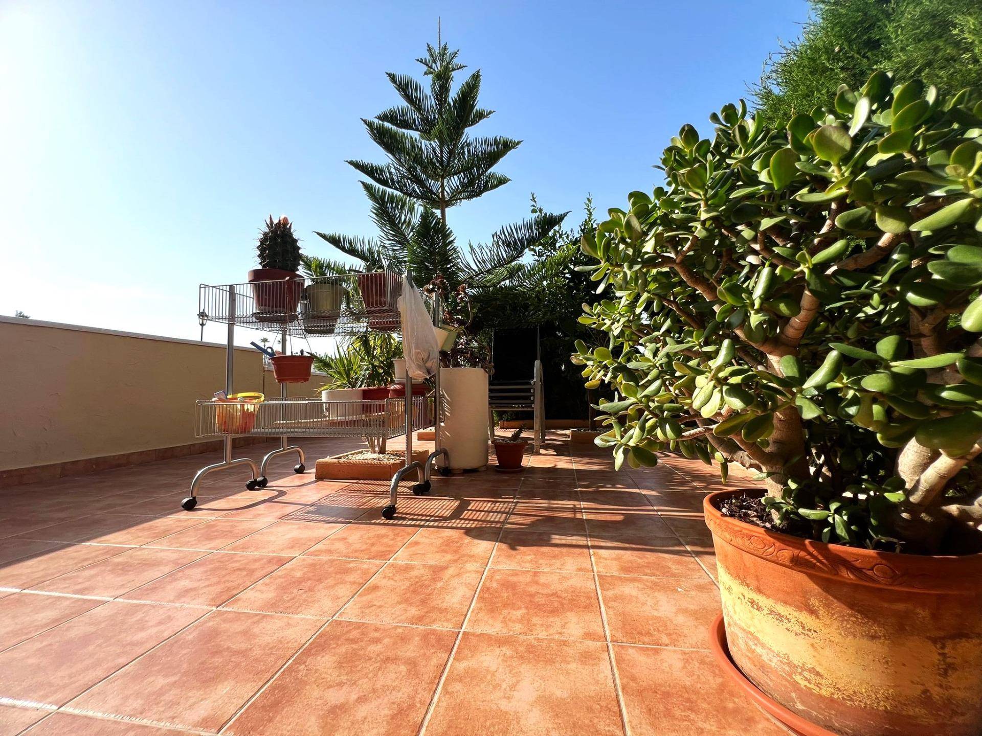 Living area in 2-bedroom apartment, Montezenia