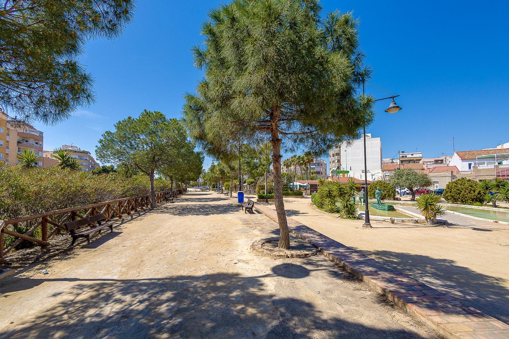 Complex grounds of the bungalow in Playa de los Naufragos, Torrevieja (view 30)