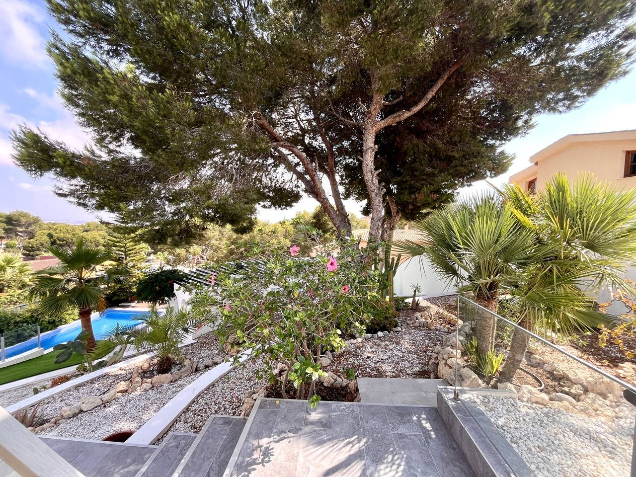 Complex grounds of the villa in La siesta, Torrevieja (view 40)