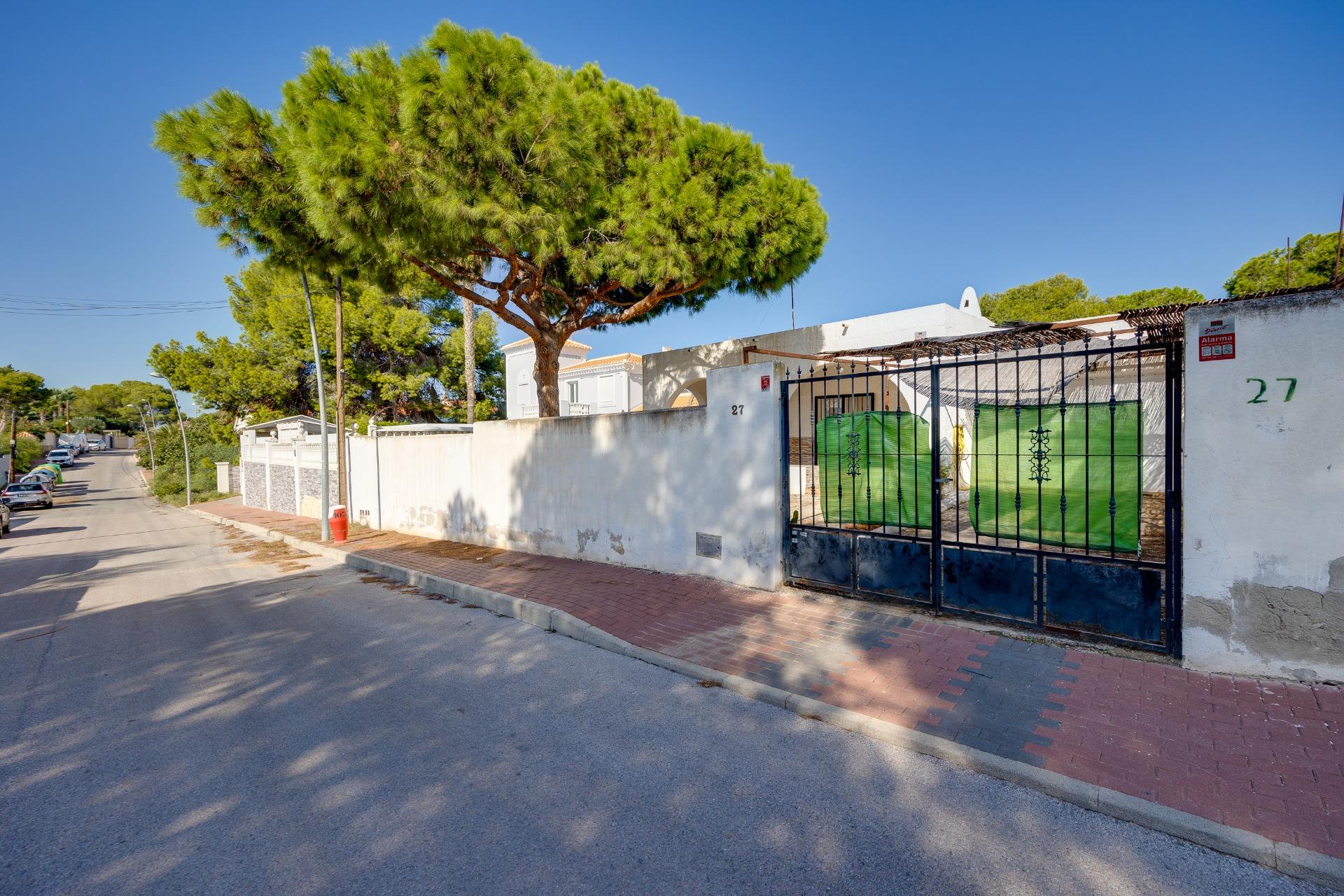 Garden corner with trees