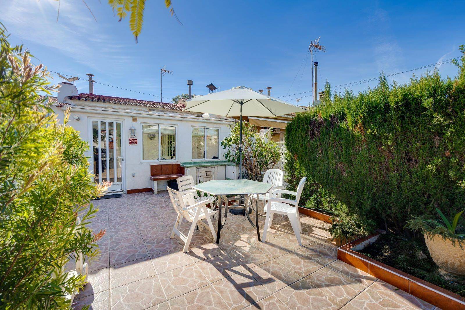 Rear boundary wall and garden