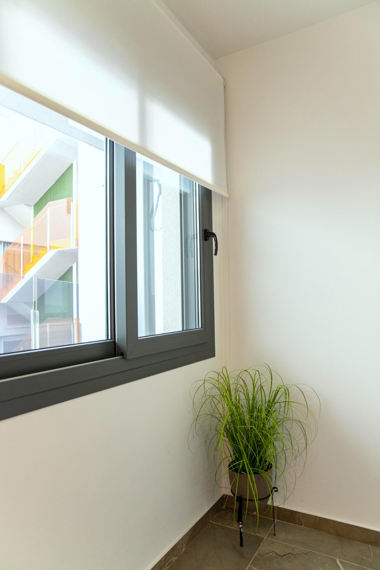 Neighbourhood view of the apartment in Centro, Torrevieja