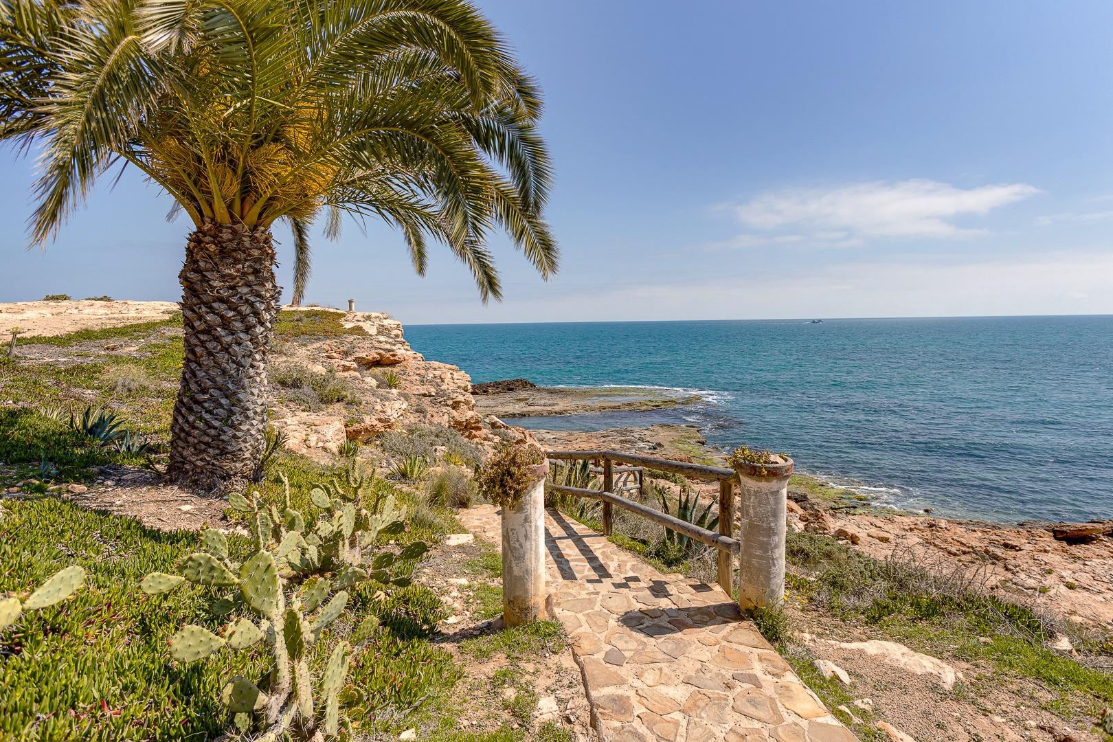 Neighbourhood view of the apartment in Rosaleda-los frutales, Torrevieja (view 39)