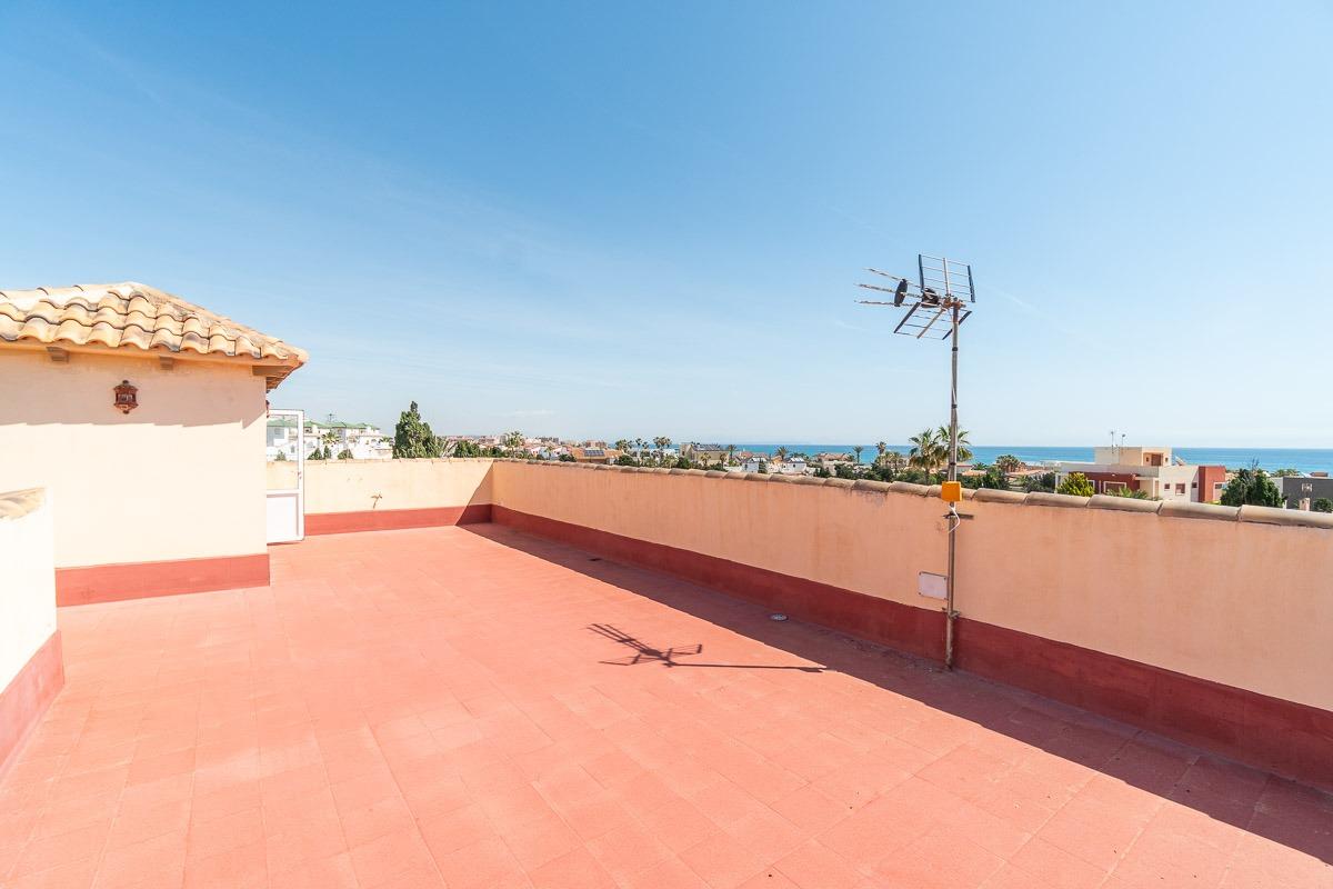 Complex grounds of the villa in Torrevieja, Torrevieja (view 50)
