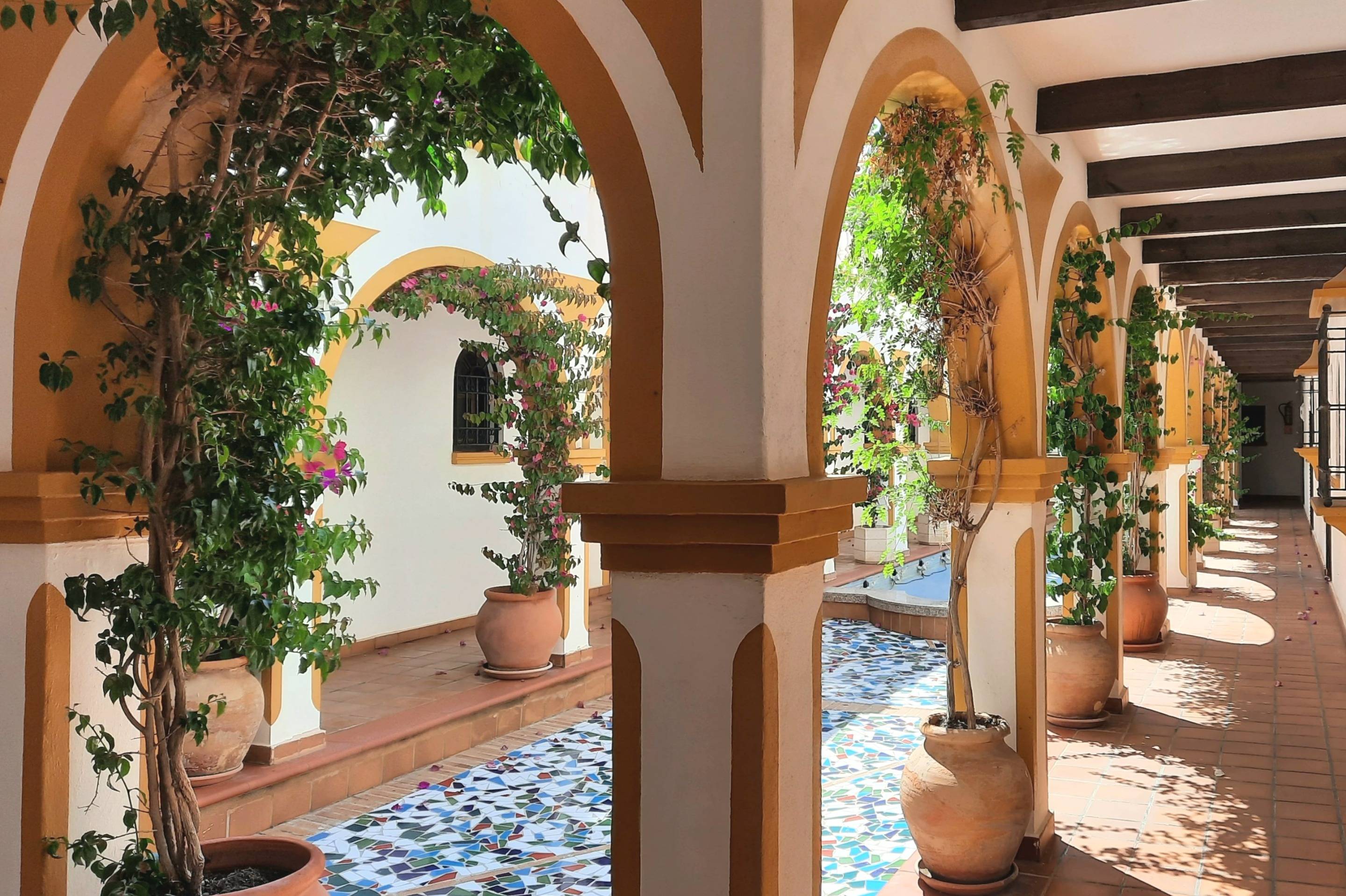 Complex grounds of the bungalow in La Mata, Torrevieja