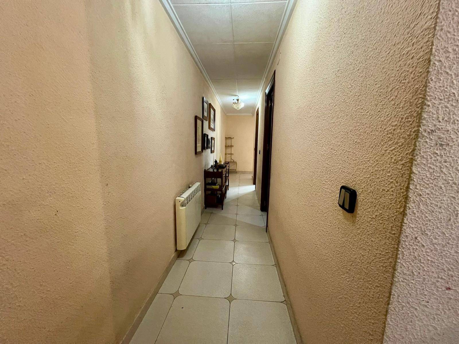 Complex grounds of the apartment in Estacion de autobuses, Torrevieja