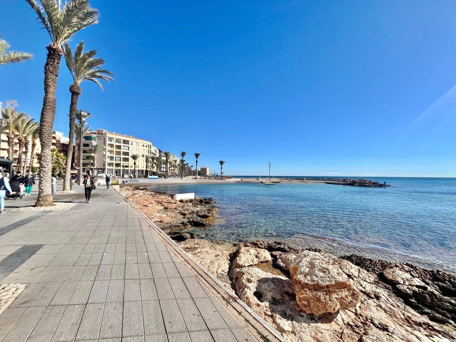 Complex grounds of the apartment in Estacion de autobuses, Torrevieja (view 30)