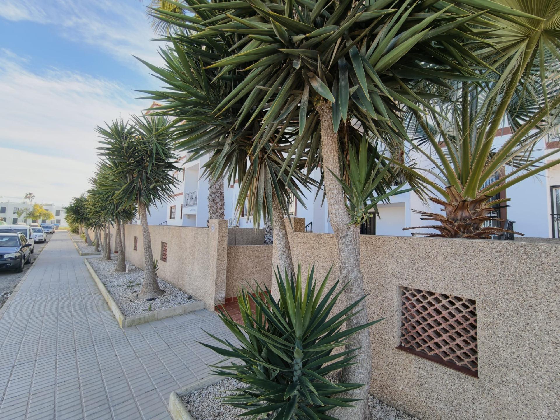 Storage area of the penthouse in Punta Prima, Torrevieja (view 63)