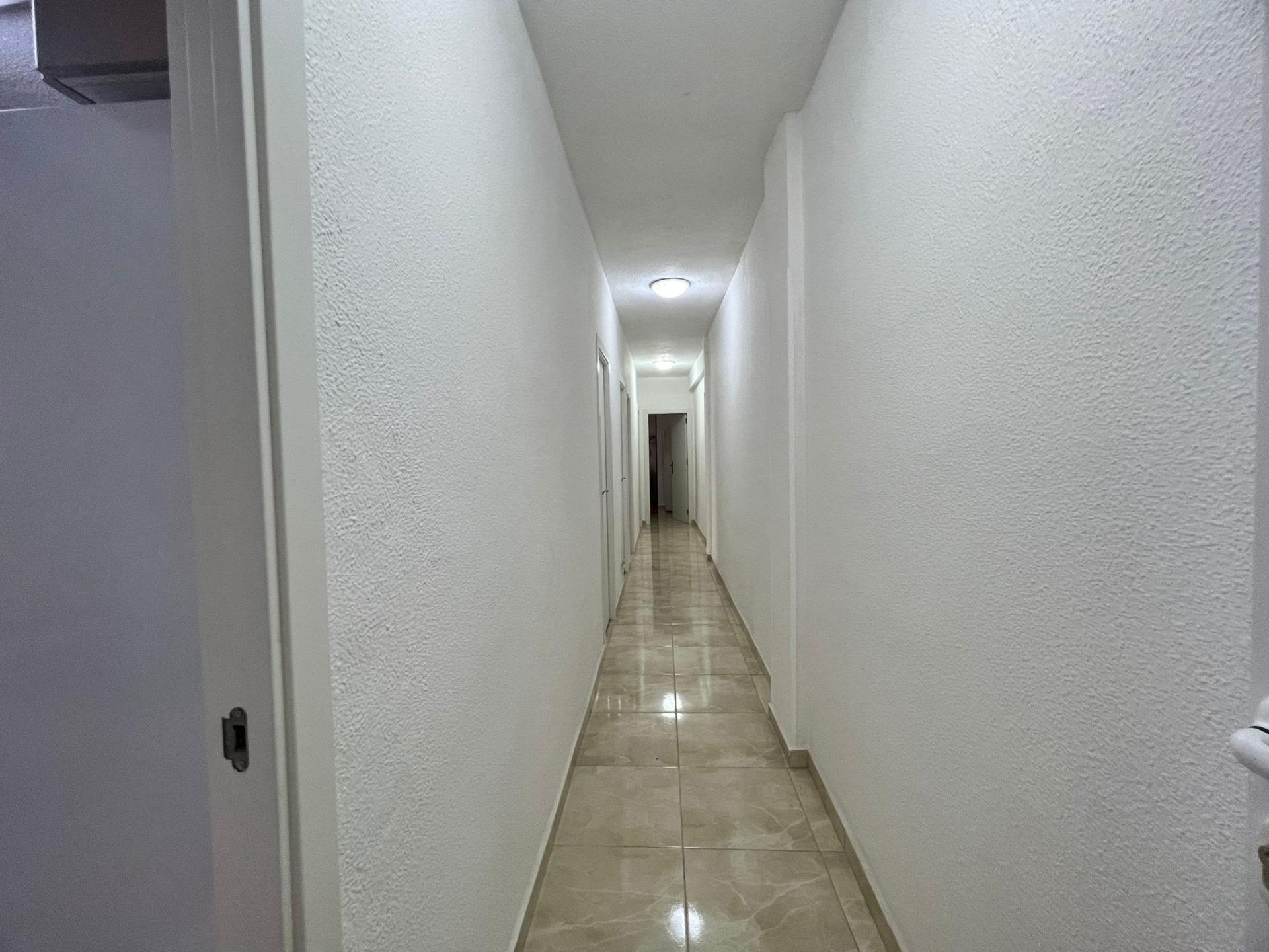 Complex grounds of the apartment in Paseo maritimo, Torrevieja