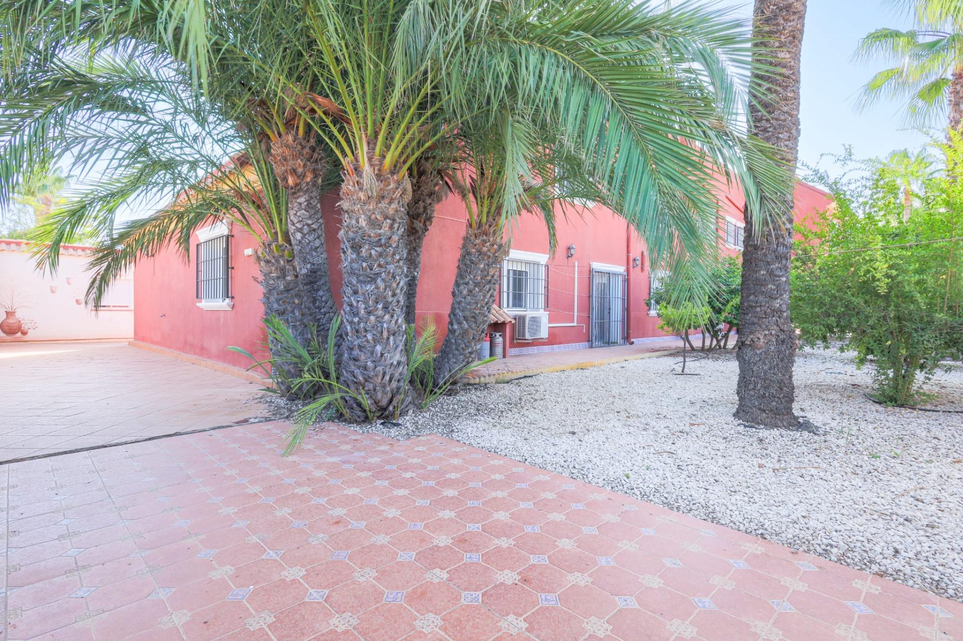 Terrace or outdoor area, Torreta florida