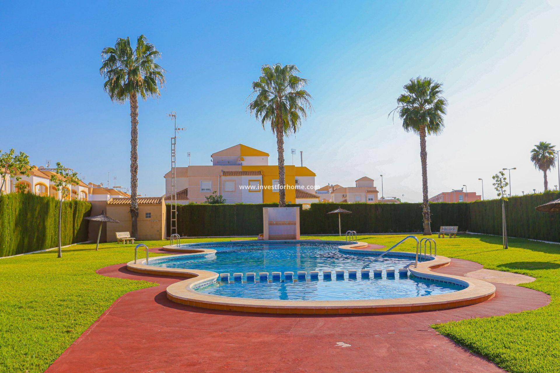 Complex grounds of the bungalow in El limonar, Torrevieja (view 30)