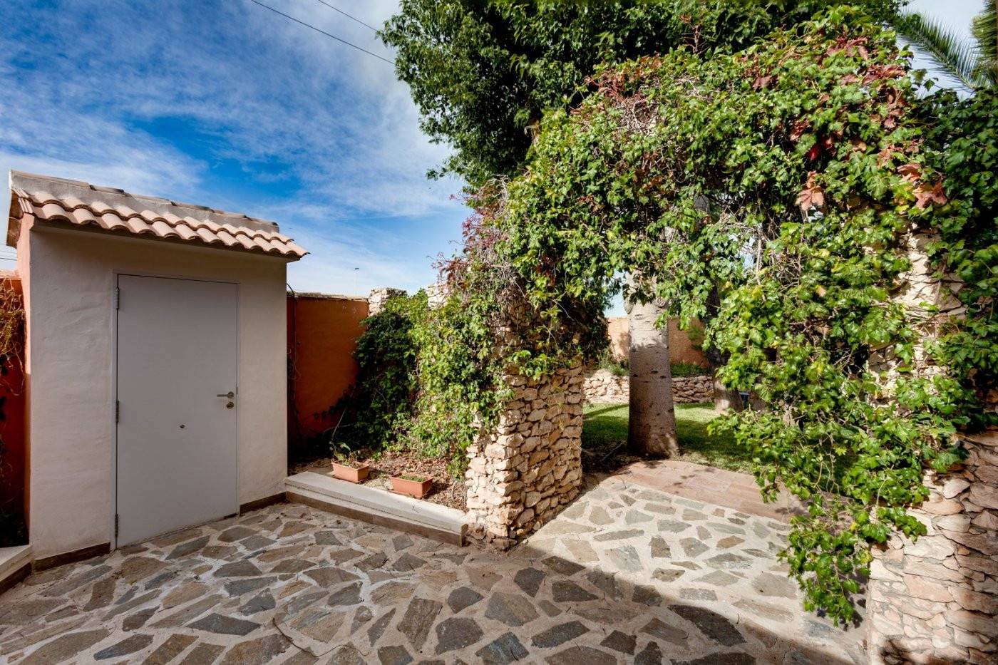 Complex grounds of the villa in San luis, Torrevieja (view 30)