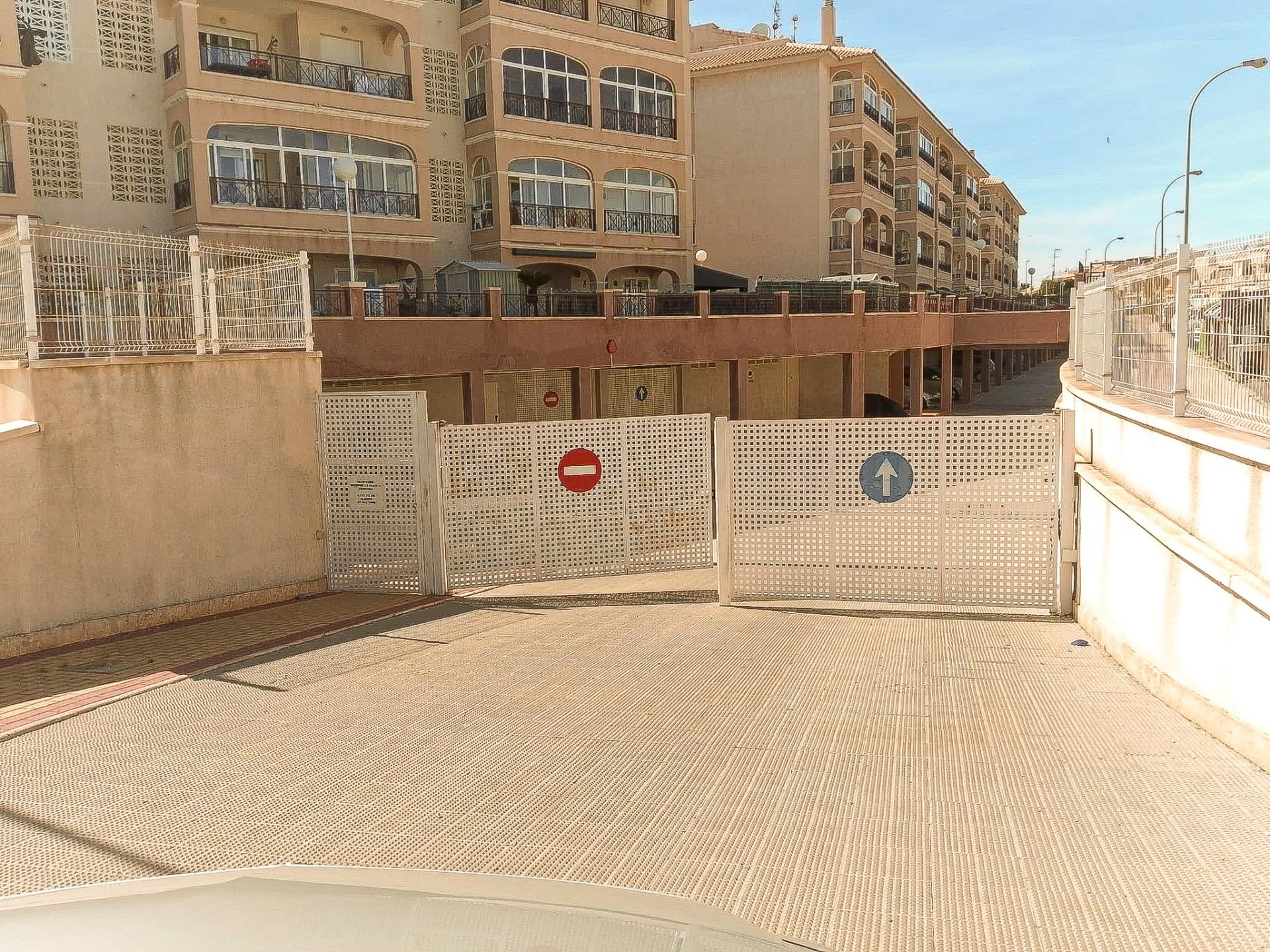 Communal garden area in gated urbanisation, Playa Flamenca Norte