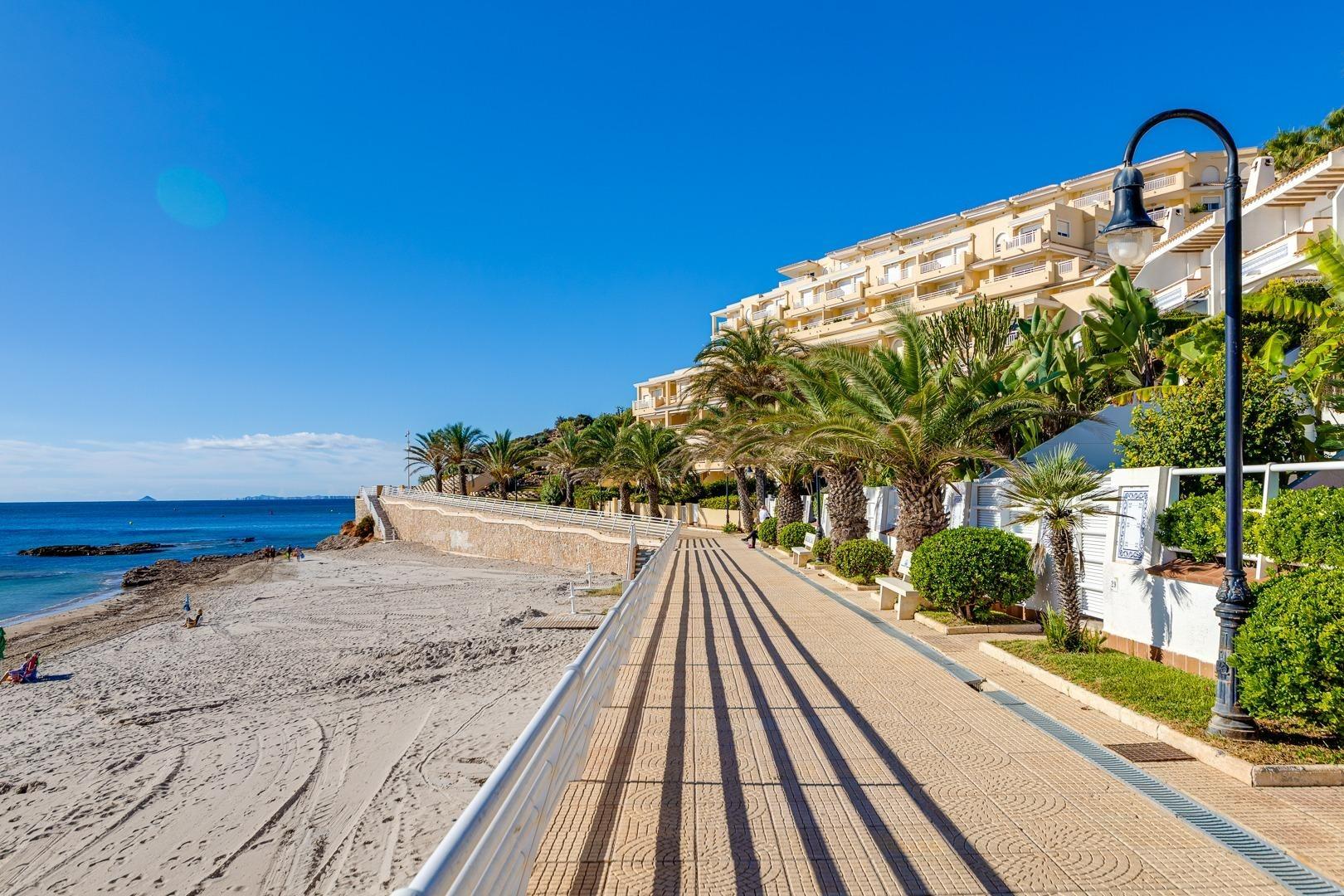 Exterior communal area with planted borders, Playa Flamenca Norte, Orihuela Costa