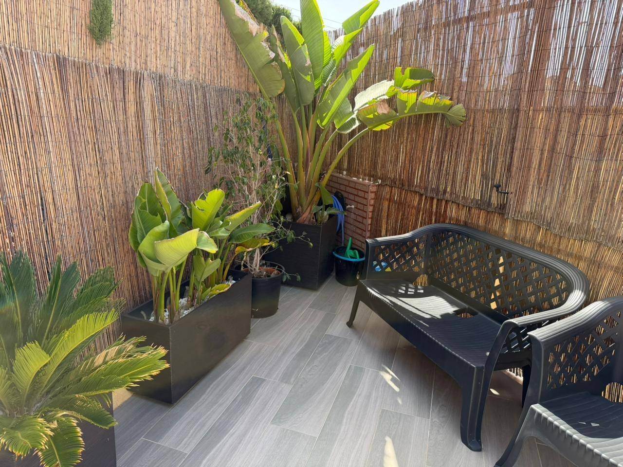 Rear garden and pool surrounds of villa in Los Frutales, Torrevieja